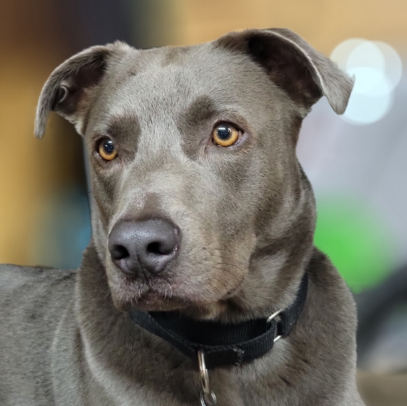 Meet your Posher, Melissa - Picture 5 of 11